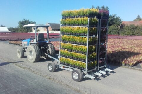 Transporter wózków CC